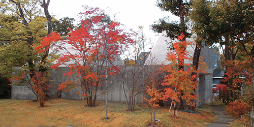 fall