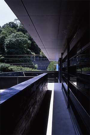 笠岡の家 窓 1